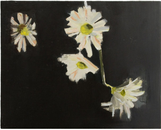 Four Flowers by Shirley Irons