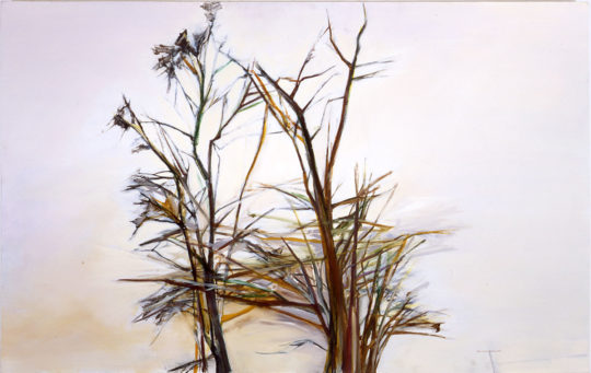 irons-white_sumac